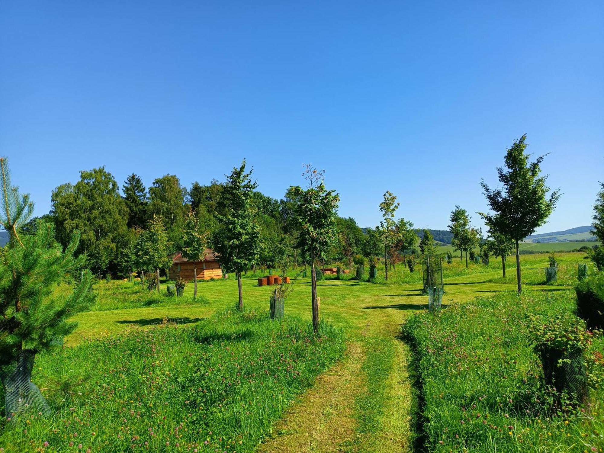 מלון Dolní Morava Treehous Sneznik S Wellness מראה חיצוני תמונה